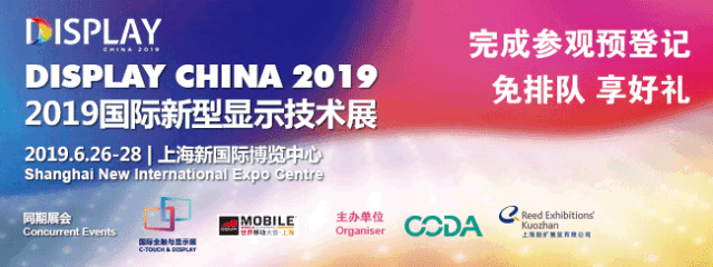 DISPLAY CHINA 2019Aӛʽ_pۯBrĮaI(y)(chung)