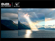 LG DisplayӴaռЇ͸@ʾЈ