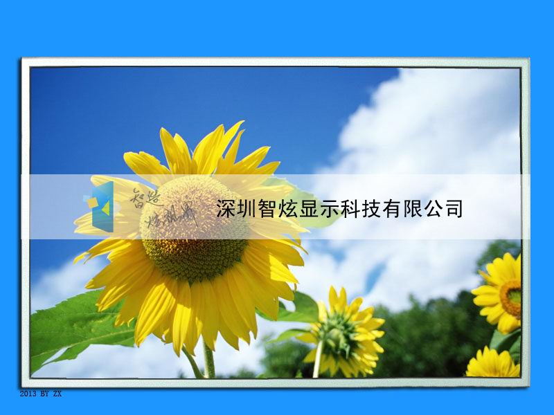 智炫ZX420-L04