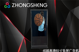中升ZS650C02B-P裸眼3D顯示器